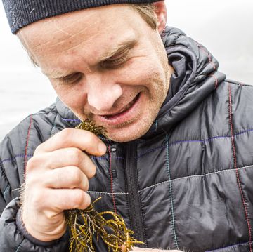 caucasian man biting seaweed near ocean